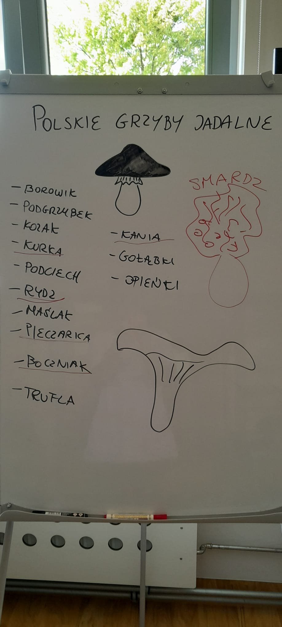 DDPKarmelkowa004